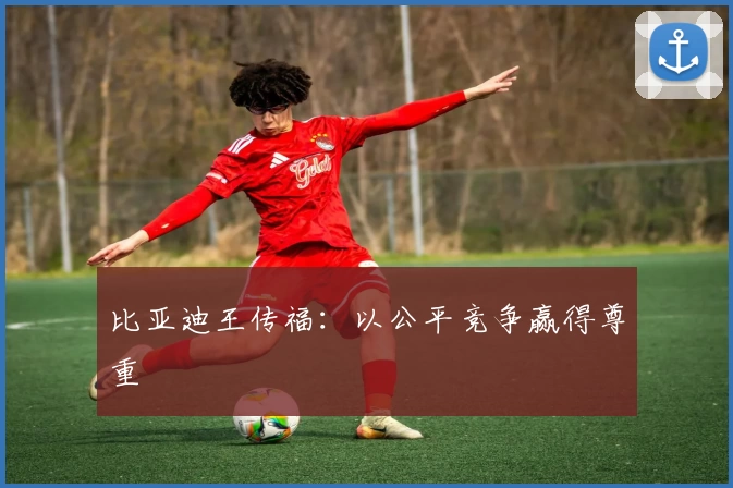 比亚迪王传福：以公平竞争赢得尊重