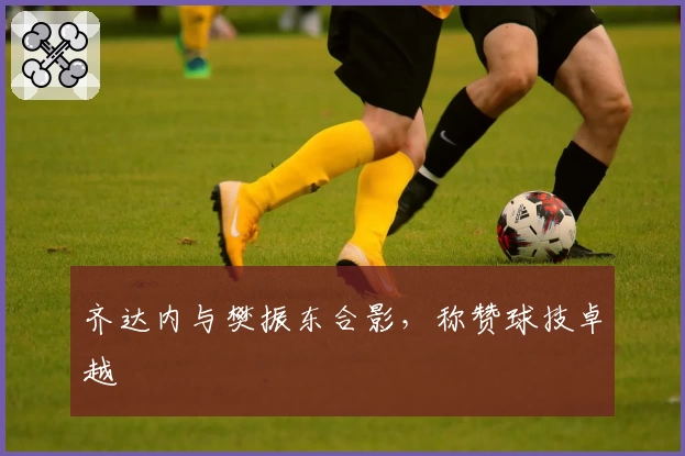 齐达内与樊振东合影,称赞球技卓越